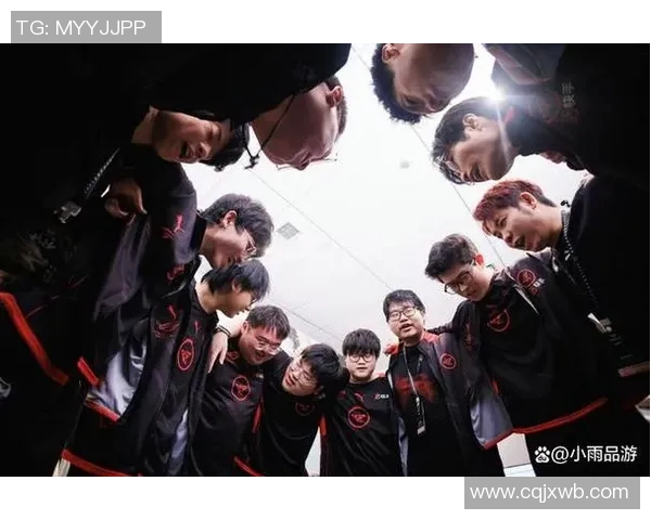 WE战队挑战者杯之路:从挫折到辉煌的成长故事