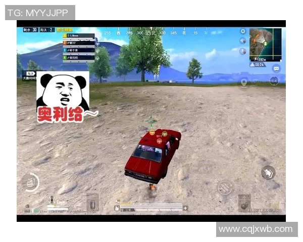 专访和平精英制作人黄秀英揭秘游戏成功背后的秘密与策略